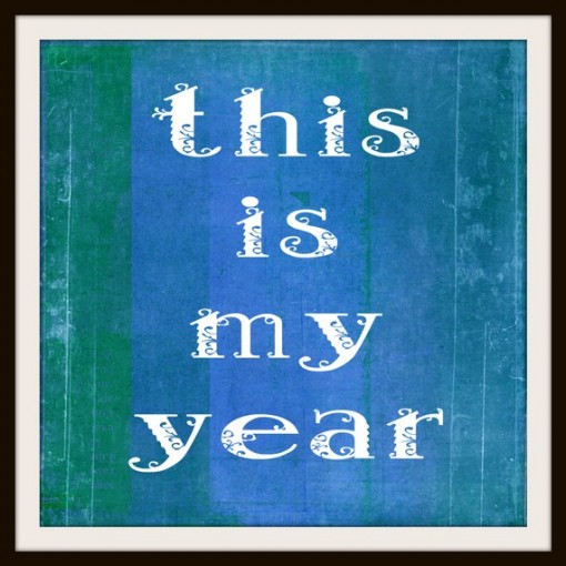 2011goals